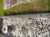 image of grave number 808813